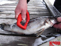 RICU Cut and Clean kalankäsittelutyökalu